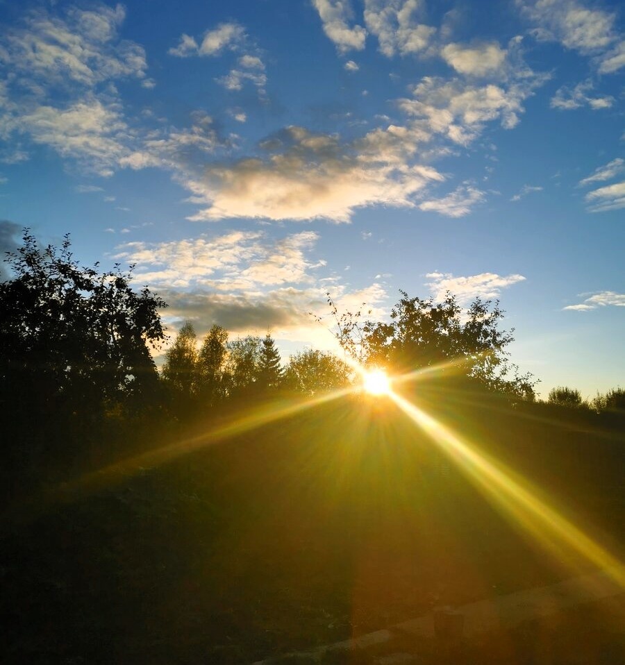 Автор фотографии - наша читательница Вера Титова