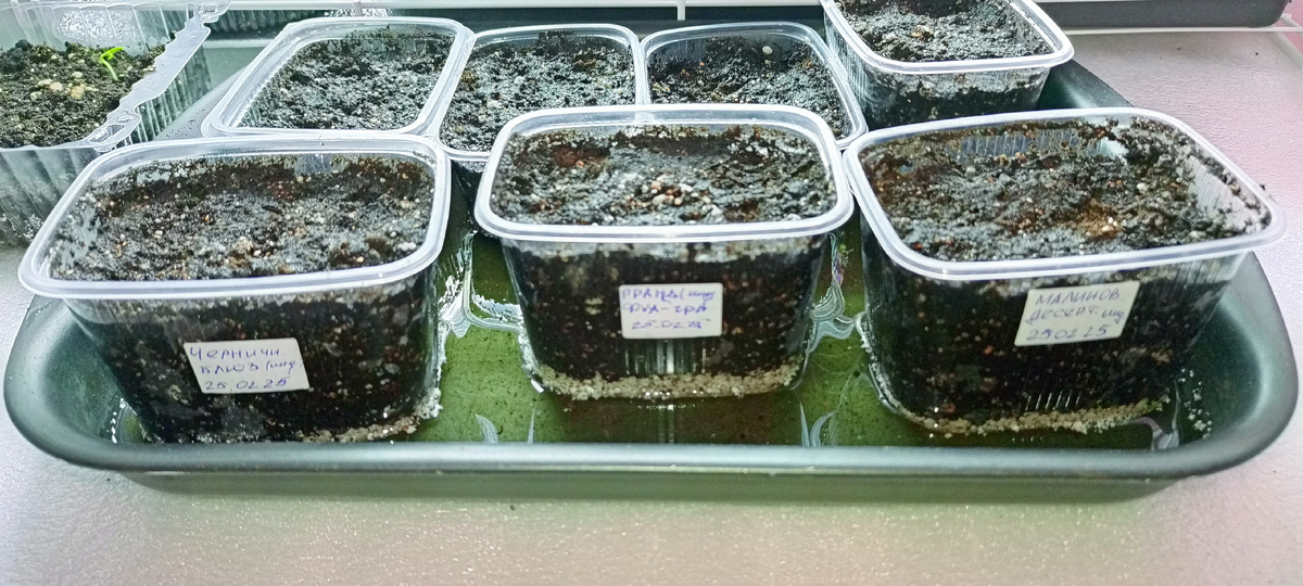 К свету поближе 😏