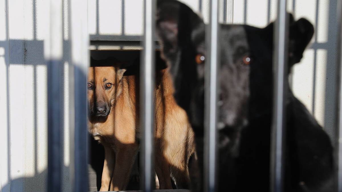    Фото: Кирилл Зыков / АГН Москва