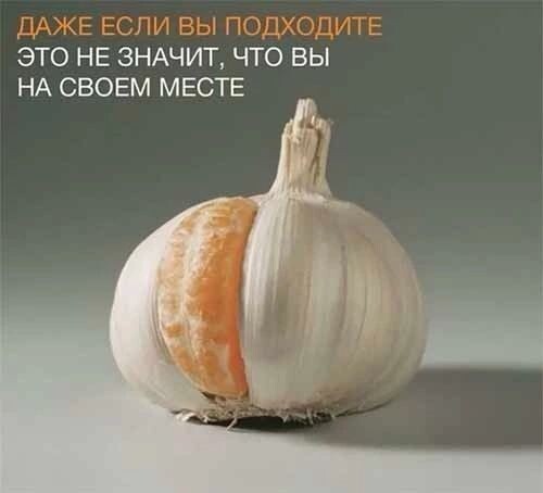 Самое лучшее описание моего УТМ. Попалось где-то в лентах в день приезда домой