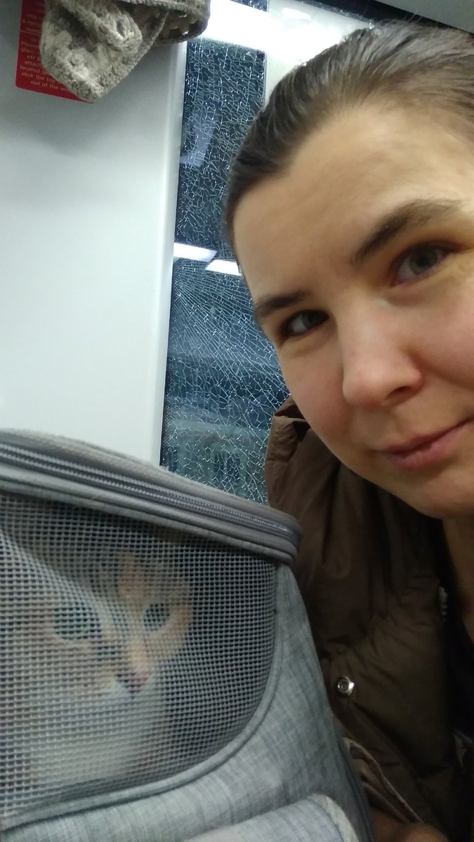 Едем с Малюськой в Екатеринбург на Ласточке. Нет, не могла дома оставить