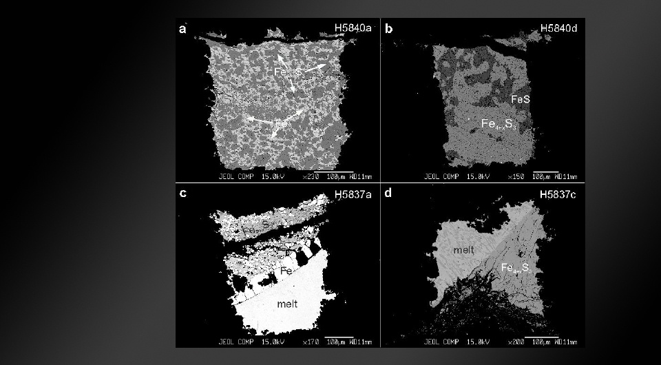   N + 1; Lianjie Man et al. / Nature Communications, 2025