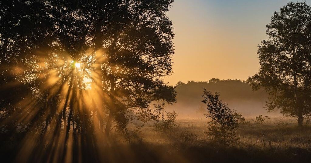 Фото: freepik.com