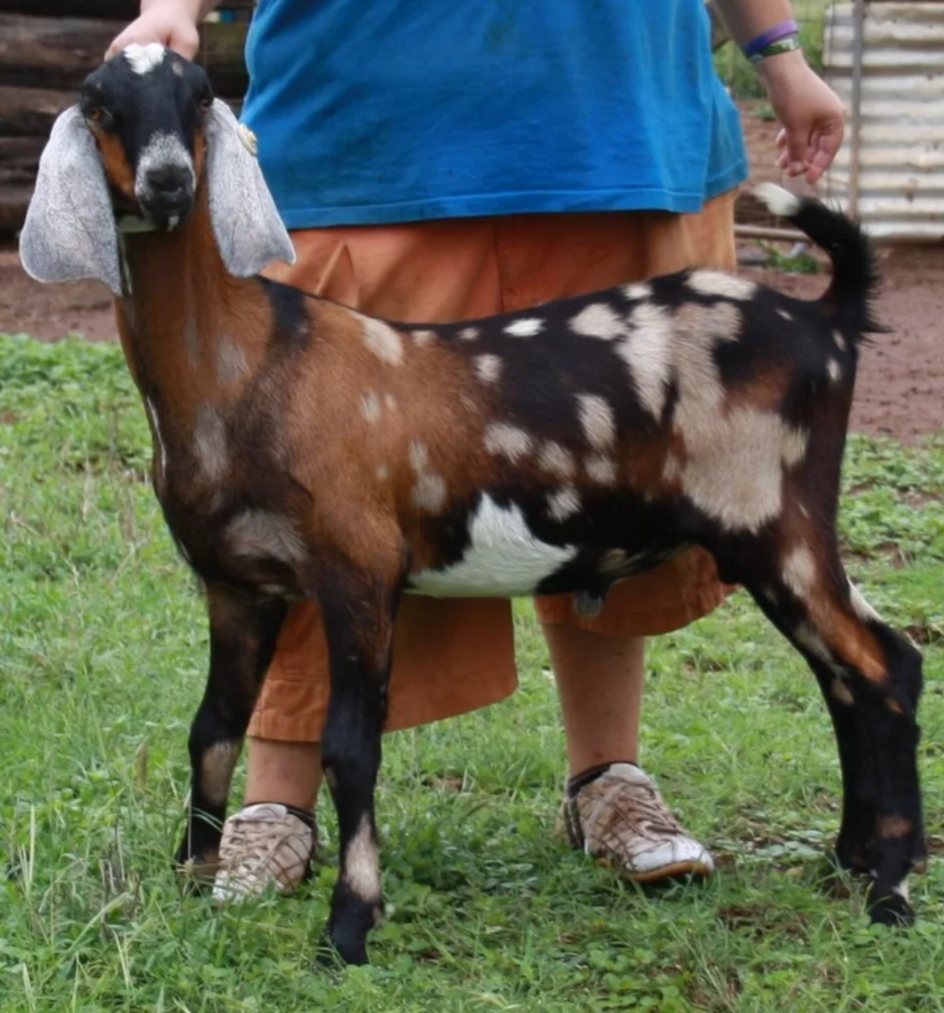 Красотаааа. Фото из интернета.