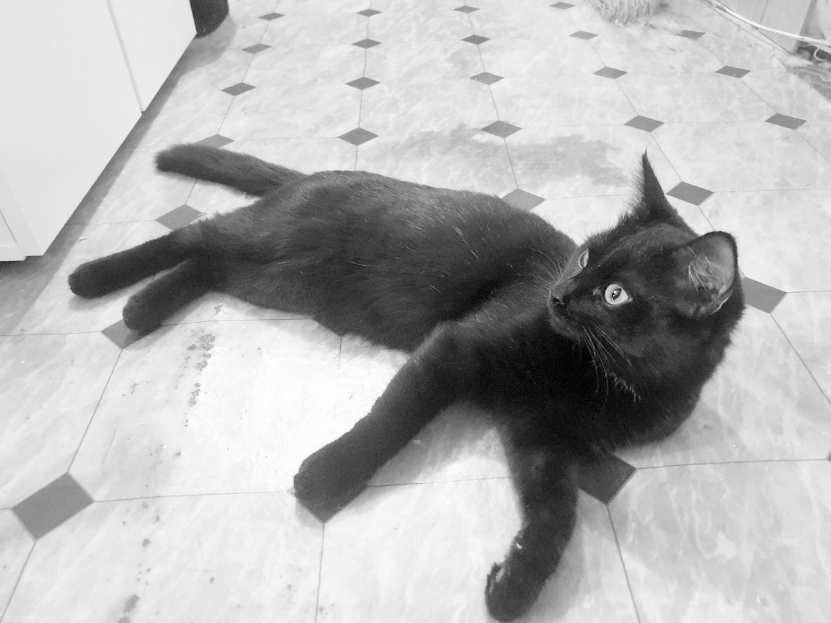 Алиса ждёт своего друга