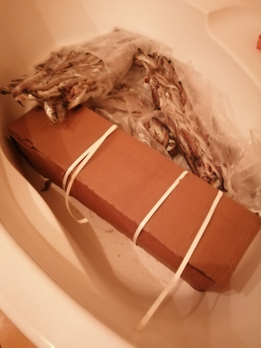 Фотография с телефона. Ну тут рыбки то Всего 60 кг.