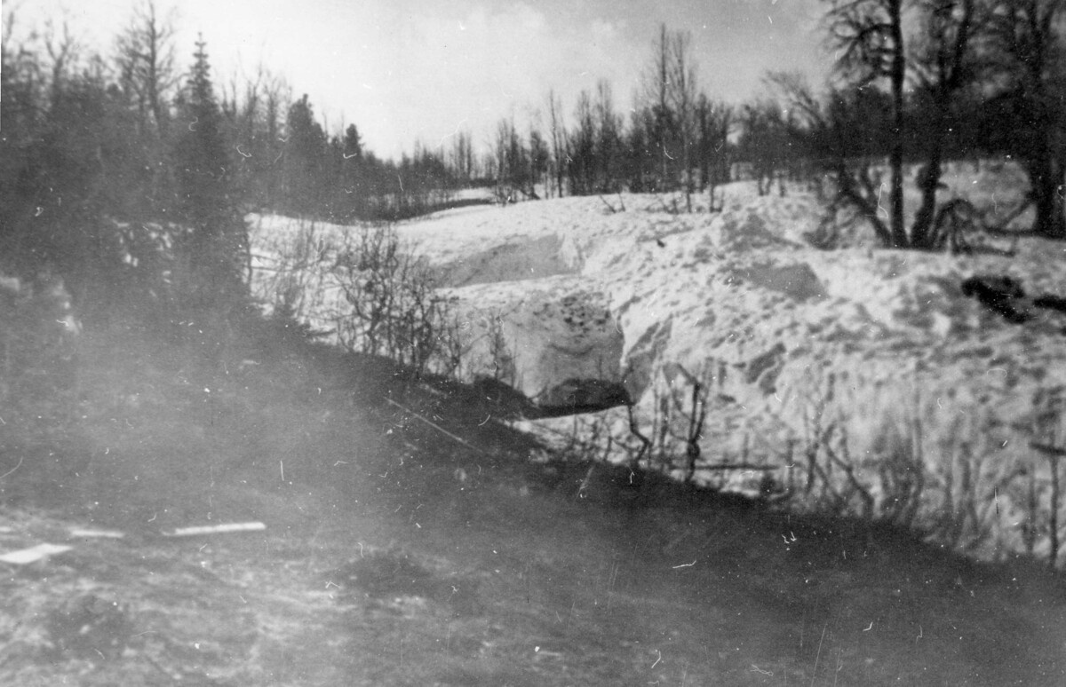 Вон они справа. Одно тройное, второе тоже непростое. Из открытого доступа.
