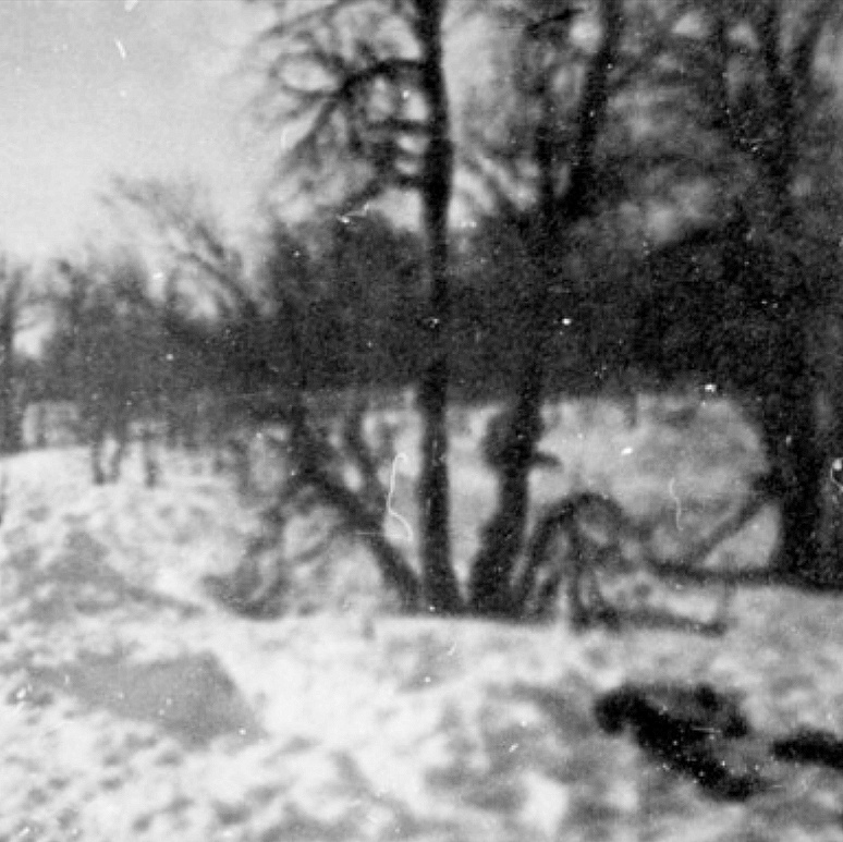 Фрагмент предыдущего фото.