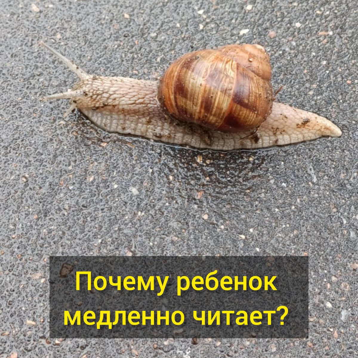 вот почему ваш ребенок будет медленно читать в школе и не понимать прочитанного! 