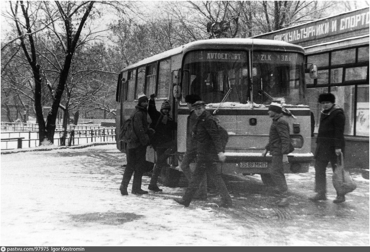 В автобус и вперёд!
