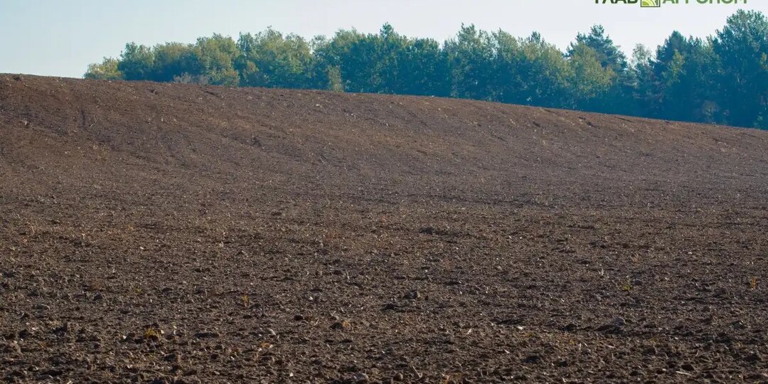 Тамбовская агрофирма выплатит 4,5 млн руб. за нанесение вреда памятнику природы