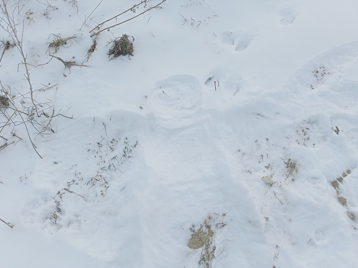 Снежный ангел