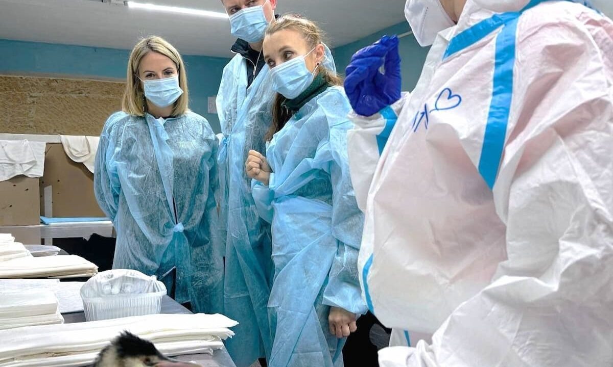    Фото пресс-службы администрации Краснодарского края