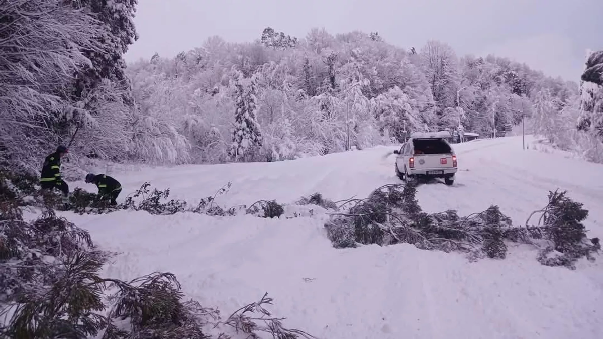 © Ozurgeti City Hall