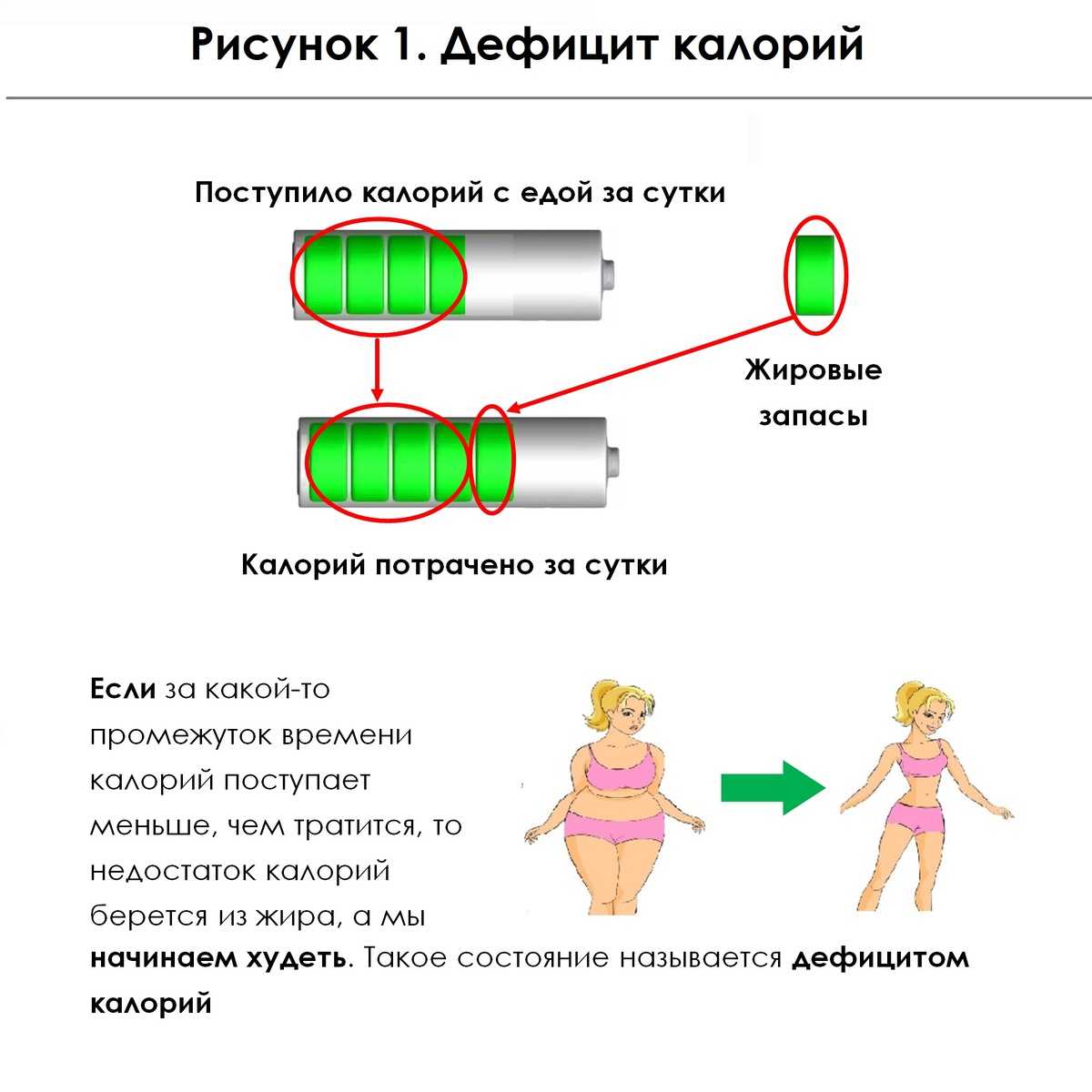 Рисунок 1. Дефицит калорий.