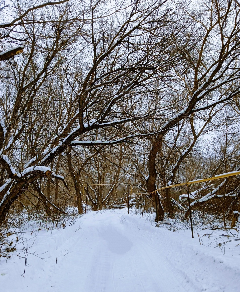 Природа пытается забрать свои владения назад...