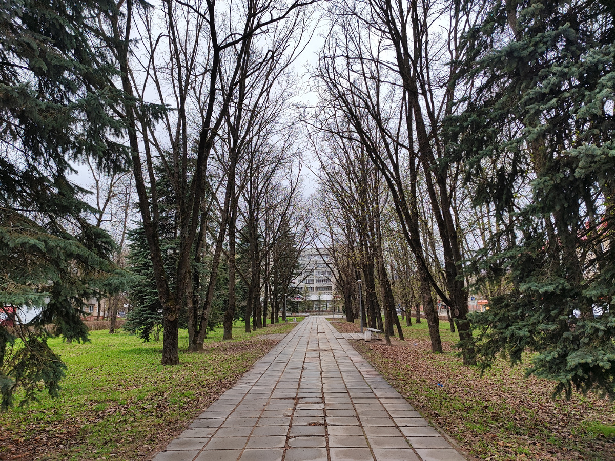 Сквер на ул. Жолио-Кюри в Обнинске. 2024 год