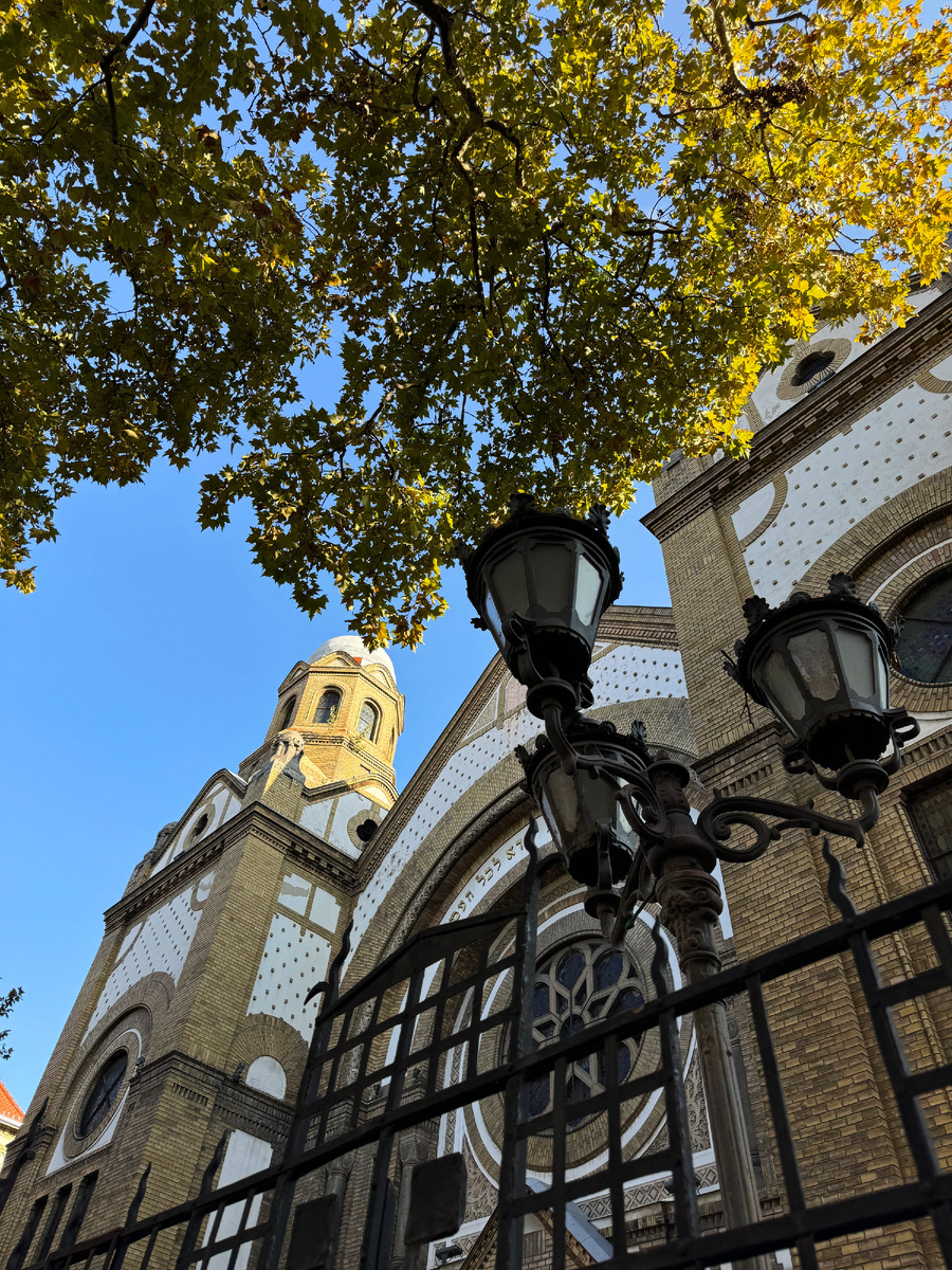 Маршрут прогулки лучше начать от Синагоги Нови-Сада.
Она расположена на улице Еврейской в ​​центре города и была построена в 1906 -1909 годах.
В период расцвета еврейской общины в крае было 86 синагог. Сегодня их осталось всего 11.

Мирко Штарк, президент еврейской общины Нови-Сада, говорит, что евреи впервые поселились в городе вскоре после его основания в 1694 году при Габсбургской монархии.

«Когда Австрия ввела новые законы, ограничивающие проживание евреев в городах, многие бежали в приграничные районы, где эти законы не так строго соблюдались, — говорит Штарк. — Позже, когда сербы захватили Воеводину, эти ограничения были отменены, и еврейская община расцвела».