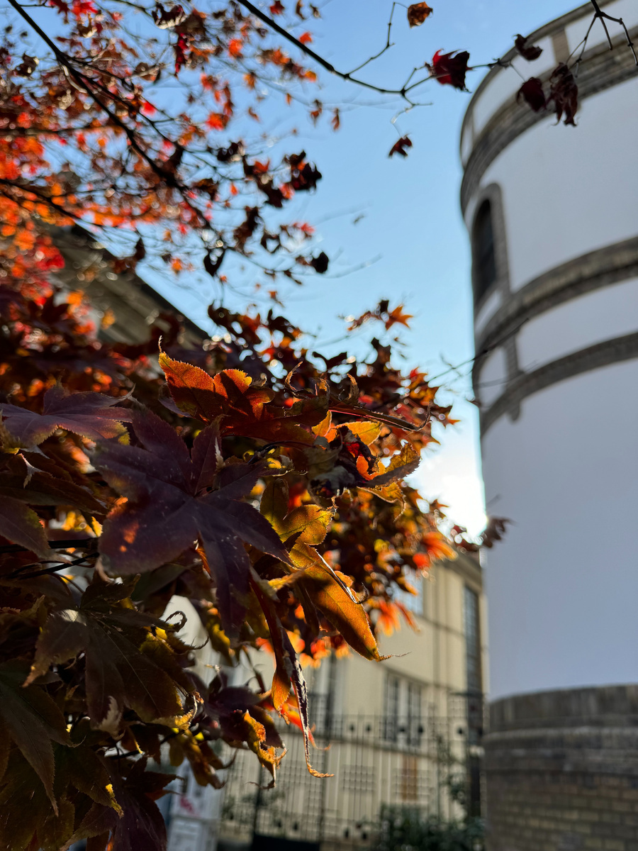 Осеннее солнце в улочке за Синагогой, что выходит на пролаз Павле Шосбергера