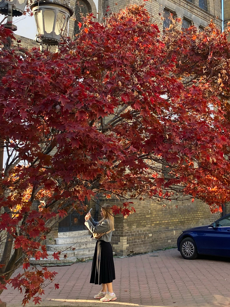 Момент запечатления предыдущей фотографии