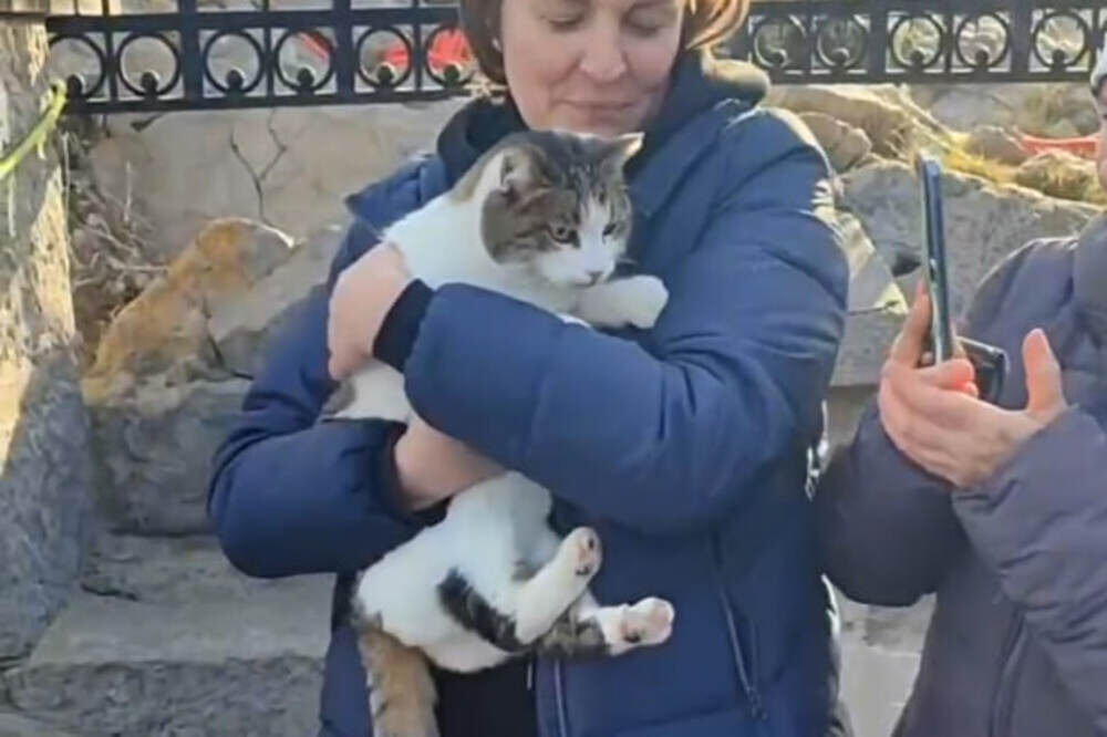    Фото: соцсети