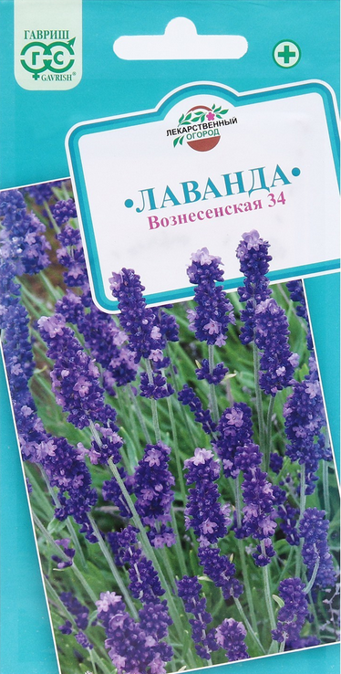 Лаванда Вознесенская 34 (Гавриш)
