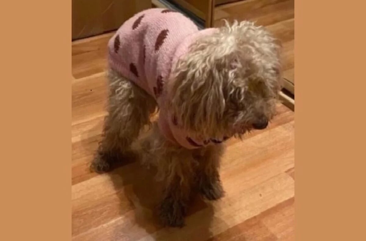    «Прости, малыш».