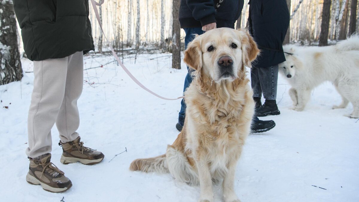    Фото: Ilya Moskovets/globallookpress.com