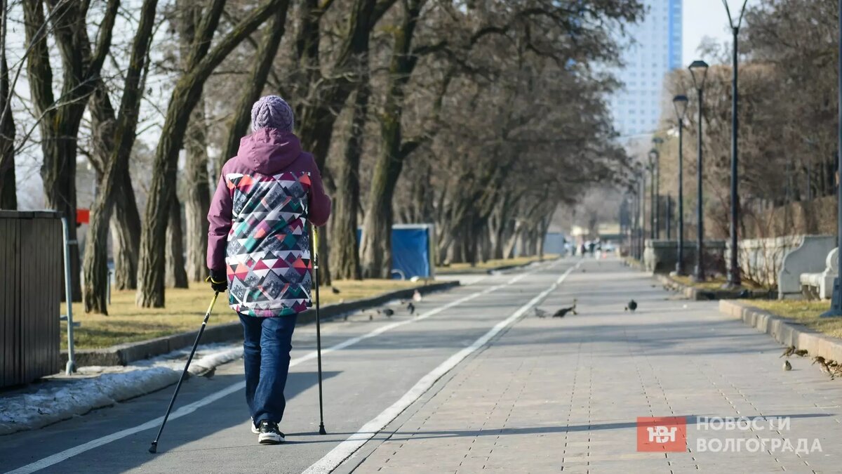     Источник: novostivolgograda.ru