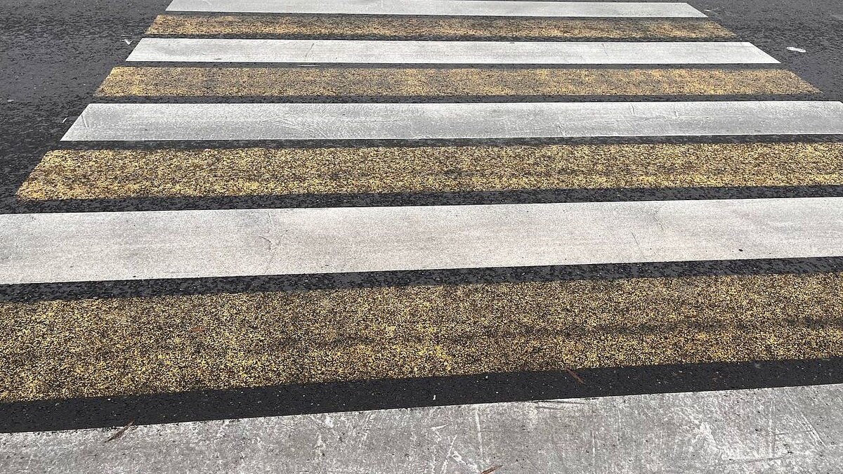    Фото: телеканал «Краснодар»