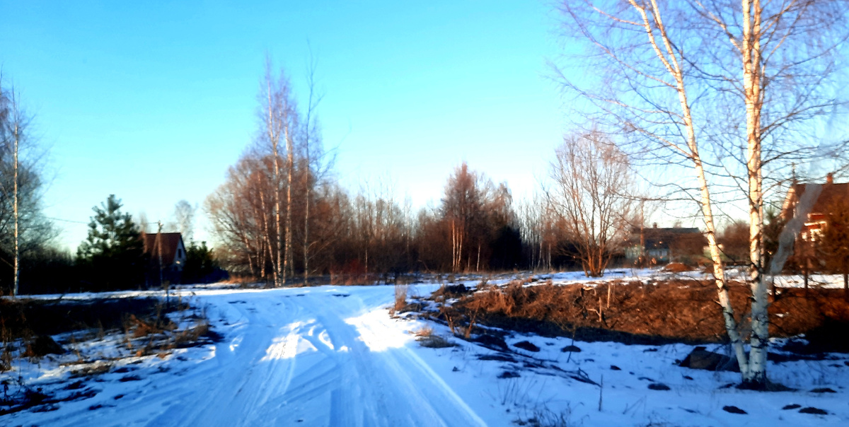 Фото автора.