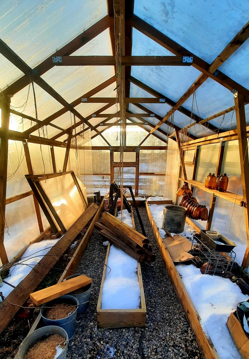 Фото автора. Зимний бардак в теплице - это нормально.