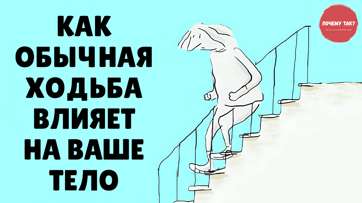 Основано на изображении © TED-Ed