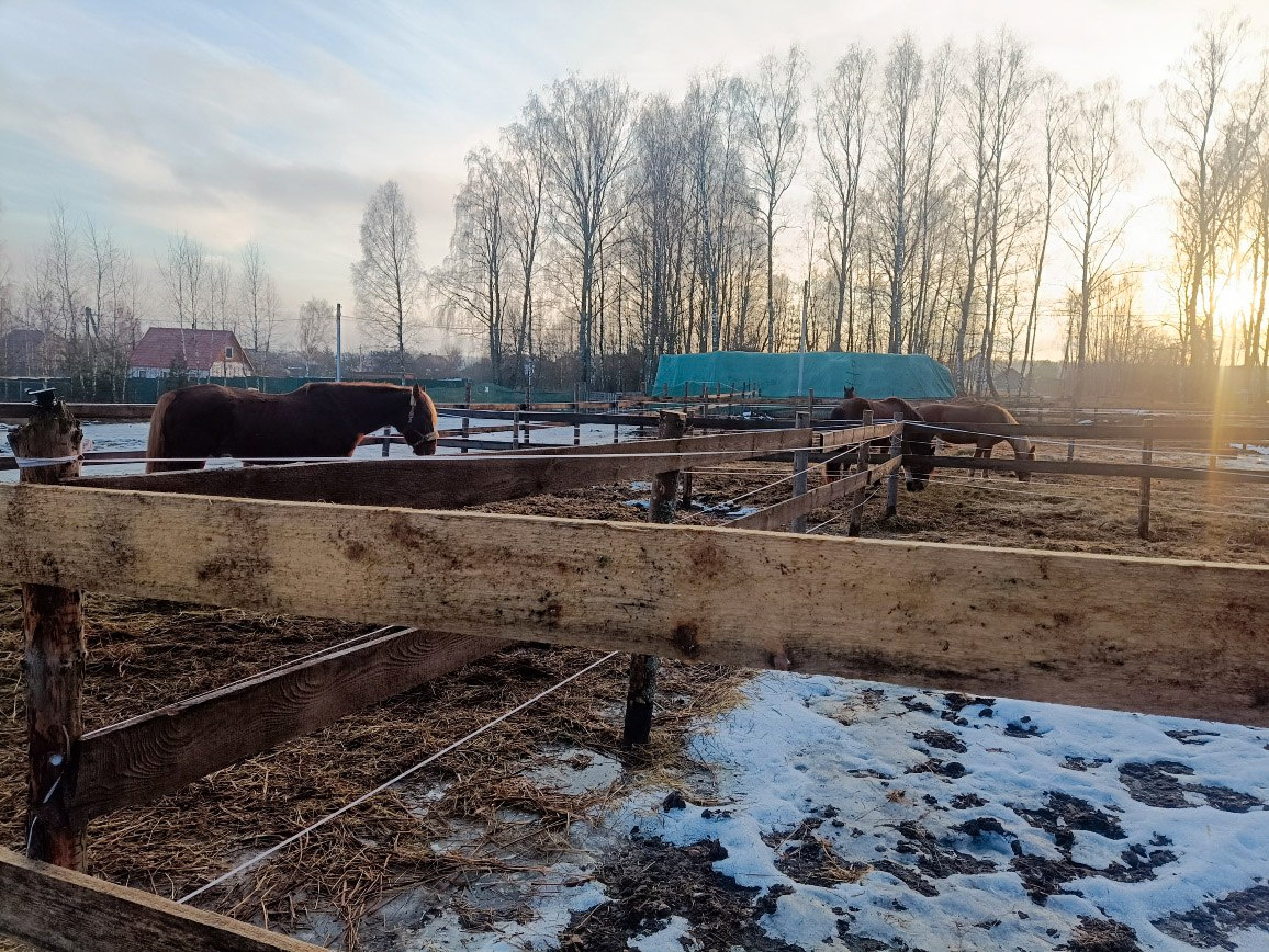 
Фото: СУ СКР по Владимирской области