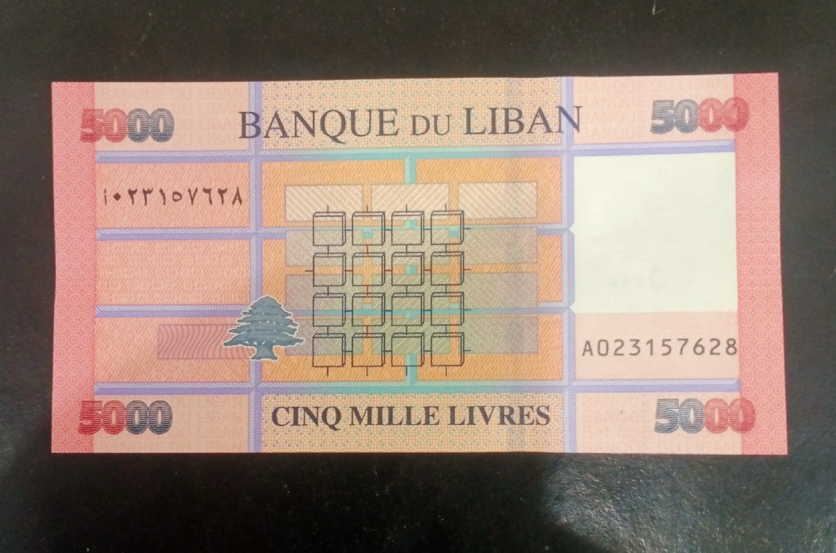 Оборотная сторона банкноты 5000 ливров 2014г.Ливан.