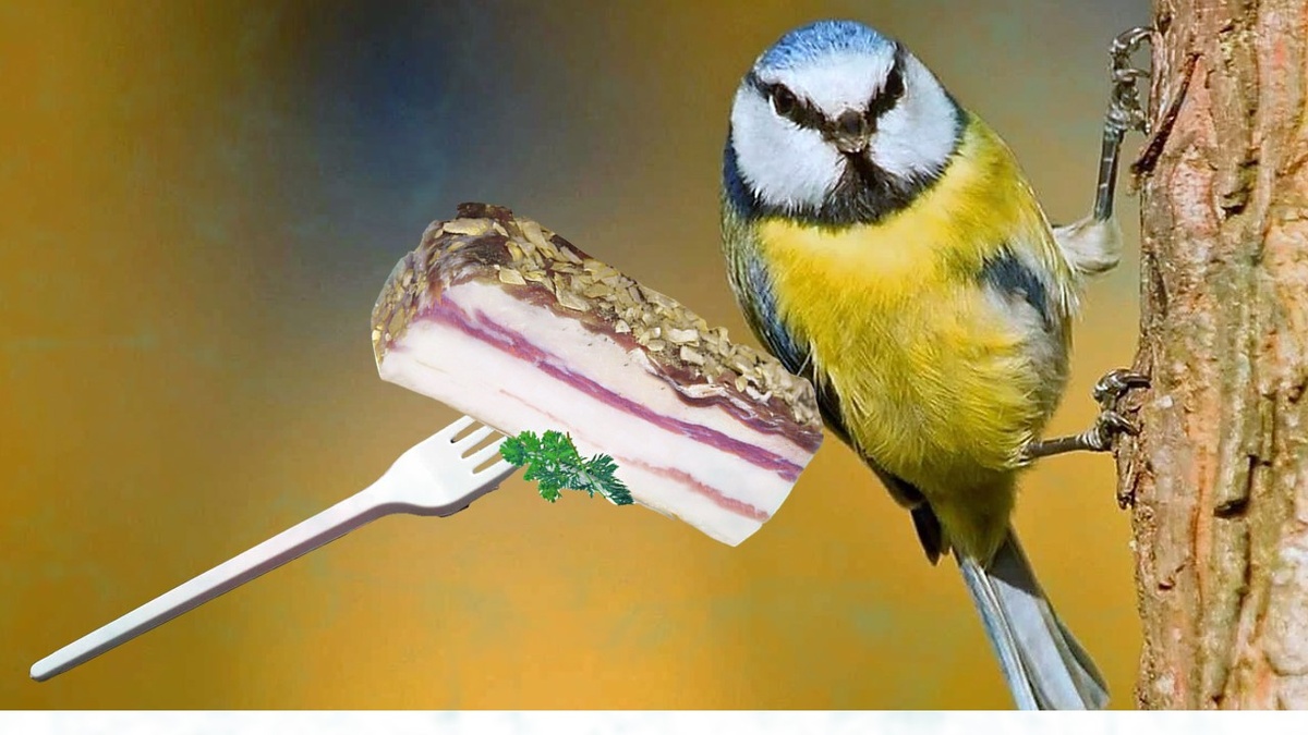 Потыкай вилкой и скорми синице или заморозь носки в холодильнике. 