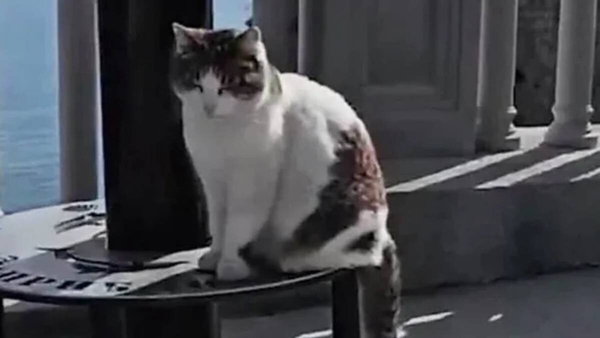    Фото: соцсети