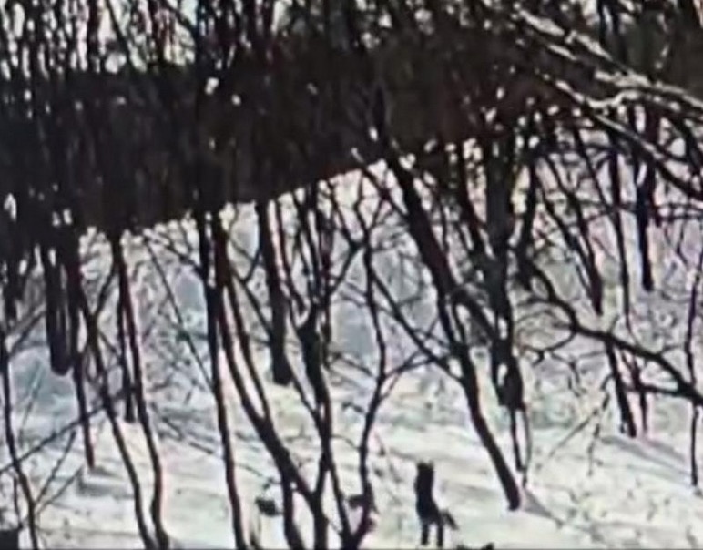 Одновременно в Екатеринбурге произошел еще один... Интересный контент в группе О