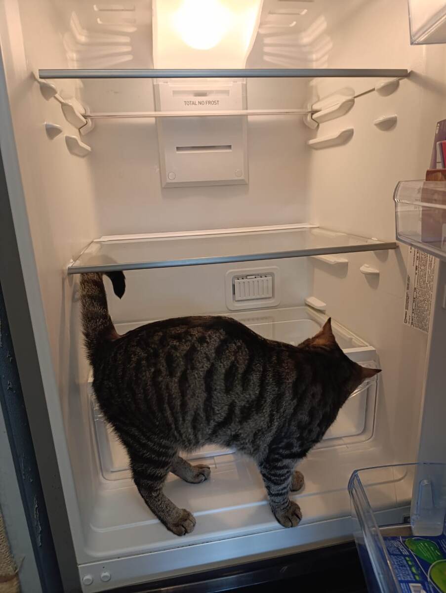 Вы меня не проведёте, тут обычно не так!!