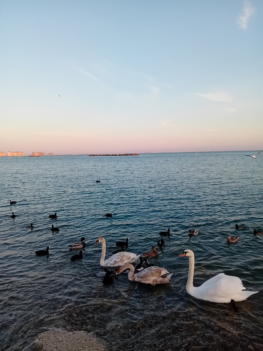 Авторское фото.