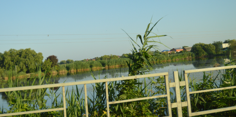 Фото автора. Если есть вода, значит будет и рыба.