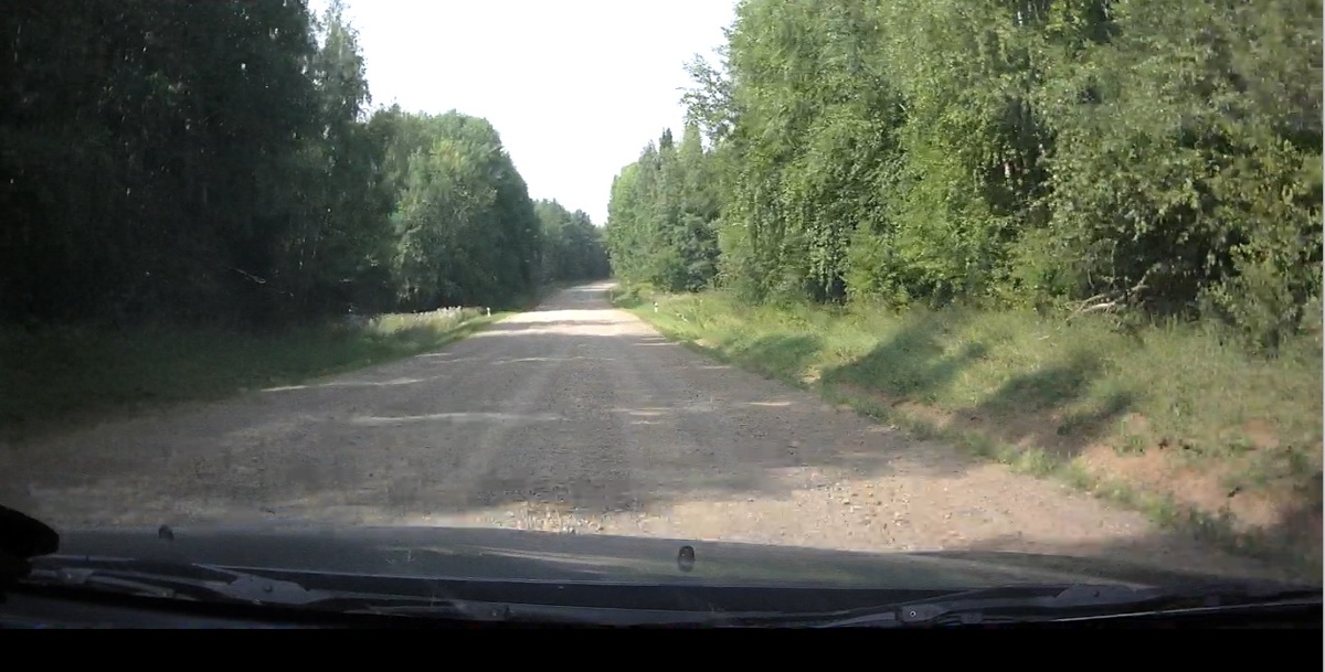 Берёзы как при матушке Екатерине по прежнему защищают дорогу от снежных заносов.