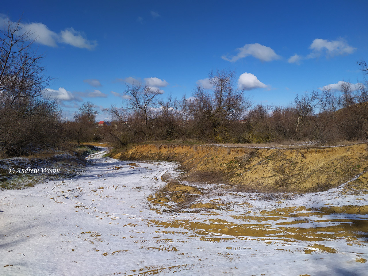 Редкие деревца вокруг Фонтана
