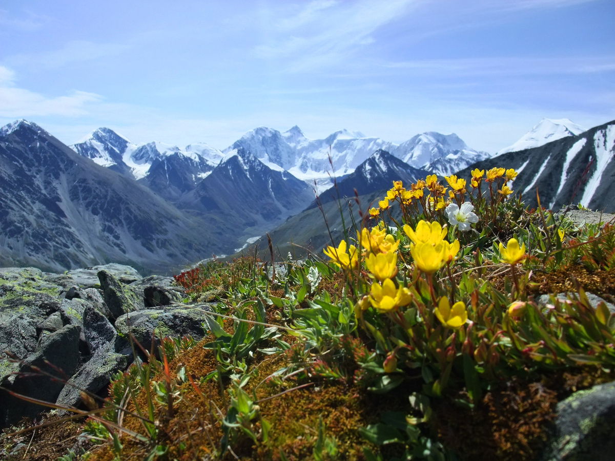 Горный Алтай, перевал Каратюрек 2009 год