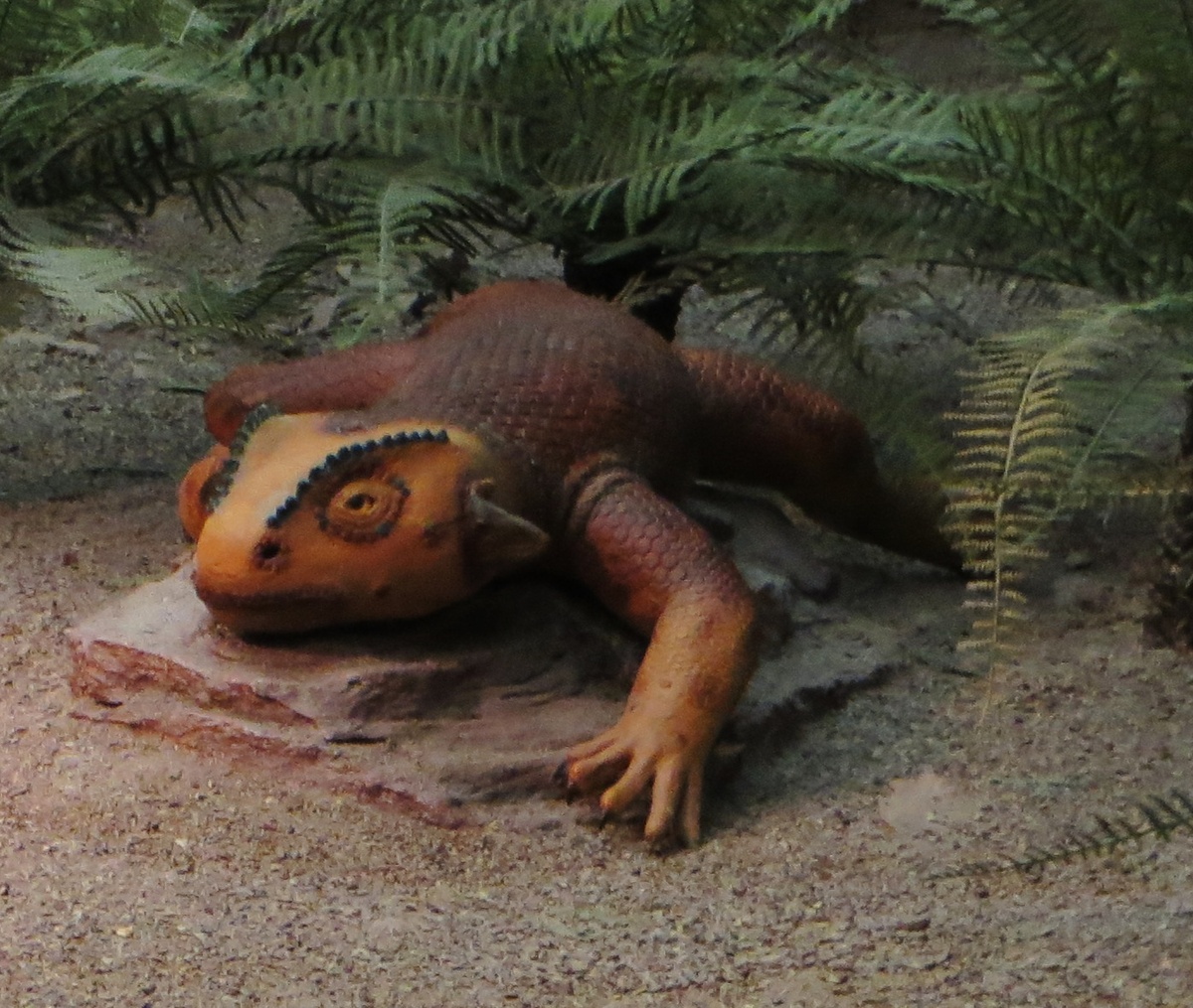 Модель коилоскиозавра.