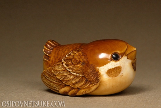 Правда, ведь я очень милый воробушек?