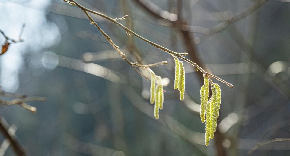    Konstantin Kokoshkin / Global Look Press / www.globallookpress.com