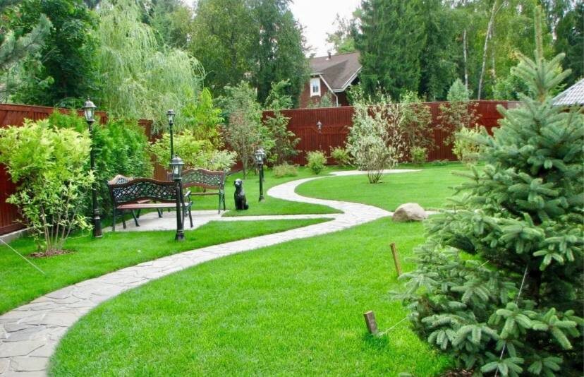 Фото из открытых источников