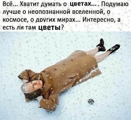 Картинка в свободном доступе