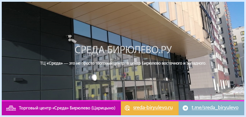 Магазины в торговом центре «Среда» Бирюлево (Царицыно)